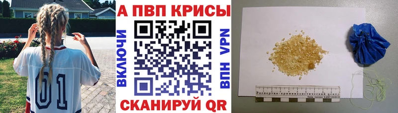 A-PVP СК КРИС Полярные Зори
