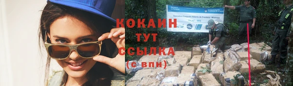 винт Горно-Алтайск