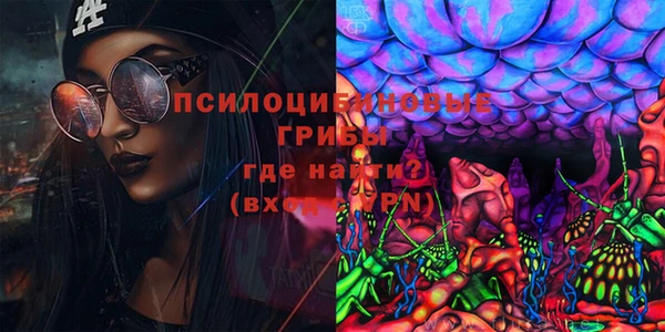 винт Горно-Алтайск