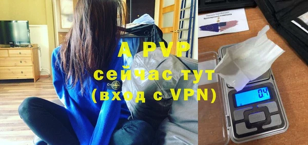 винт Горно-Алтайск