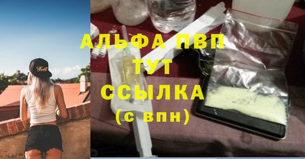 твердый Туринск